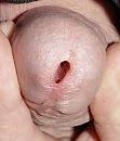 lekker, foto 698x810, 0 reacties, 6 stemmen