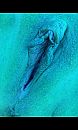 lekker, foto 480x800, 8 reacties, 25 stemmen