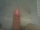 live, foto 800x600, 0 reacties, 1 stemmen