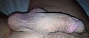 me 2, foto 455x199, 0 reacties, 3 stemmen