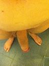 me, foto 720x960, 0 reacties, 1 stemmen