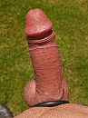 mijn stijve in de zon, foto 1843x2455, 2 reacties, 6 stemmen