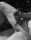 mmm leeg, foto 868x1113, 6 reacties, 20 stemmen