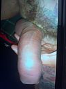 monster, foto 1944x2592, 0 reacties, 0 stemmen