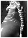 mooi contrast, foto 2178x2950, 3 reacties, 19 stemmen