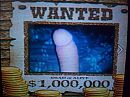 myn pik, foto 2592x1944, 0 reacties, 0 stemmen