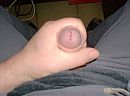 nat, foto 2576x1920, 4 reacties, 9 stemmen