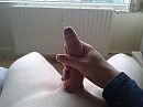 net geschoren, foto 2560x1920, 15 reacties, 48 stemmen
