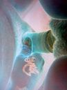 neuken, foto 1944x2592, 0 reacties, 2 stemmen