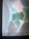 neuken, foto 1944x2592, 0 reacties, 0 stemmen