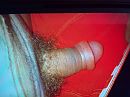 nog slapen, foto 2592x1944, 0 reacties, 1 stemmen