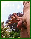 nr 6, foto 2208x2727, 0 reacties, 9 stemmen