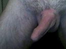 op verzoek, foto 320x240, 2 reacties, 5 stemmen