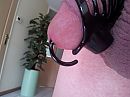 pa5000, foto 3264x2448, 1 reacties, 3 stemmen