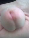 piep, foto 900x1200, 1 reacties, 1 stemmen