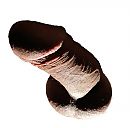 pik, foto 2062x2034, 0 reacties, 1 stemmen