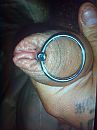 plug, foto 1944x2592, 0 reacties, 1 stemmen