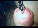 plug, foto 2592x1944, 0 reacties, 1 stemmen