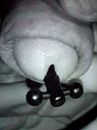 pluggie, foto 1944x2592, 1 reacties, 2 stemmen