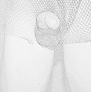 potlood, foto 1934x1948, 0 reacties, 2 stemmen