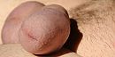 proberen, foto 3867x1925, 0 reacties, 1 stemmen