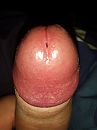 rode eikel, foto 3000x4000, 0 reacties, 3 stemmen