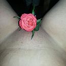 roosje voor mijn doosje, foto 2233x2223, 10 reacties, 43 stemmen