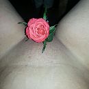 roosje voor mijn doosje, foto 2233x2223, 10 reacties, 43 stemmen