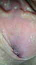 sapjes.., foto 2250x4000, 1 reacties, 12 stemmen