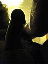 shadow, foto 1536x2048, 0 reacties, 0 stemmen