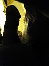 shadow, foto 1536x2048, 0 reacties, 1 stemmen