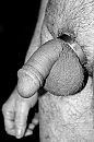 slap, foto 1455x2189, 0 reacties, 4 stemmen