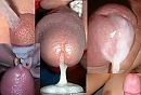 sperm up, foto 659x451, 0 reacties, 2 stemmen
