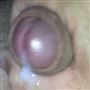 sperma, foto 90x90, 0 reacties, 0 stemmen