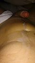 spuiten, foto 2204x3920, 0 reacties, 1 stemmen