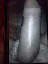 styve pik, foto 1944x2592, 0 reacties, 0 stemmen