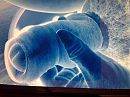 super heet, foto 2592x1944, 0 reacties, 0 stemmen