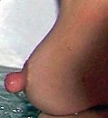 tepel close up, foto 250x273, 73 reacties, 250 stemmen