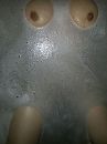 tiete annie, foto 2448x3264, 0 reacties, 4 stemmen