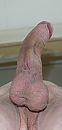 tover, foto 490x1017, 0 reacties, 1 stemmen