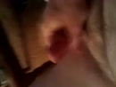 trekken, film 00:00:00, 1 reacties, 1 stemmen