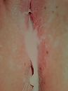 verzadigd, foto 2448x3264, 1 reacties, 8 stemmen