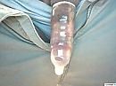 vol met zaad, foto 200x150, 2 reacties, 2 stemmen