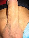 vol zaad, foto 1536x2048, 4 reacties, 23 stemmen