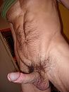 volle glorie, foto 480x634, 1 reacties, 9 stemmen