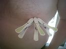 voor Roosje69, foto 1600x1200, 0 reacties, 2 stemmen