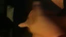 was lekker klaargekomen!!, film 00:00:28, 2 reacties, 24 stemmen