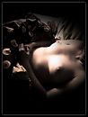 wat vind je?, foto 2038x2694, 1 reacties, 16 stemmen