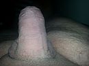 welke vrouw wil deze ook, foto 3264x2448, 4 reacties, 4 stemmen