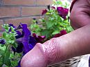 wie???, foto 2576x1932, 0 reacties, 3 stemmen